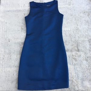 Sexy Sheen Sheath Dress NWOT